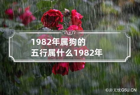 1970 屬狗 五行 缺什麼|1970属狗五行缺什么 (1970年属狗五行属什么,五行缺什么)